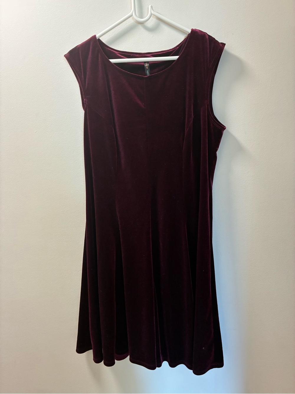 Reddish purple velvet dress